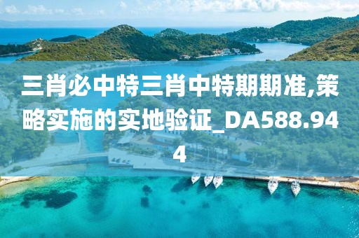 三肖必中特三肖中特期期準,策略實施的實地驗證_DA588.944