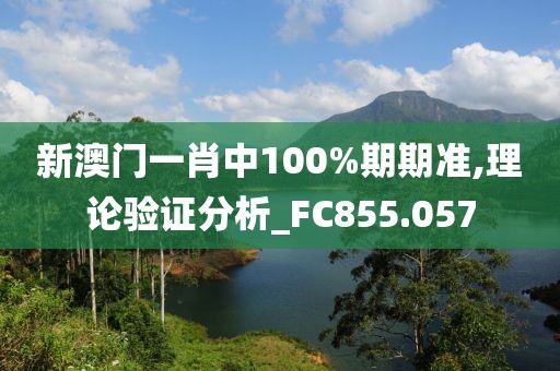 新澳門(mén)一肖中100%期期準(zhǔn),理論驗(yàn)證分析_FC855.057