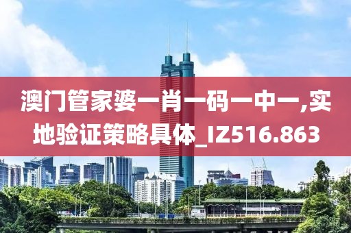 澳門(mén)管家婆一肖一碼一中一,實(shí)地驗(yàn)證策略具體_IZ516.863