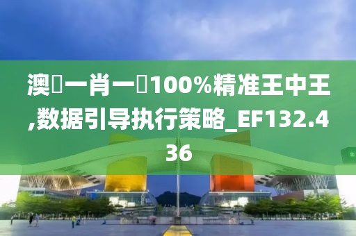 澳門一肖一碼100%精準(zhǔn)王中王,數(shù)據(jù)引導(dǎo)執(zhí)行策略_EF132.436