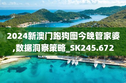 2024新澳門跑狗圖今晚管家婆,數(shù)據(jù)洞察策略_SK245.672