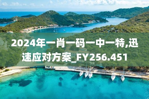 2024年一肖一碼一中一特,迅速應(yīng)對(duì)方案_FY256.451