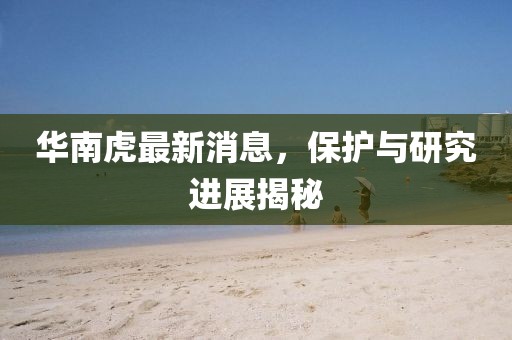 澳門一碼一肖100準嗎,深入數(shù)據(jù)分析_AY205.578