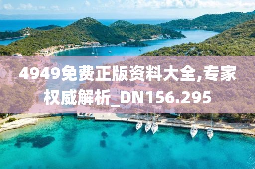 4949免費(fèi)正版資料大全,專(zhuān)家權(quán)威解析_DN156.295