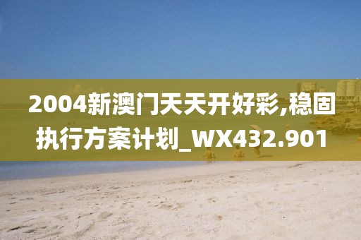 2004新澳門天天開好彩,穩(wěn)固執(zhí)行方案計(jì)劃_WX432.901