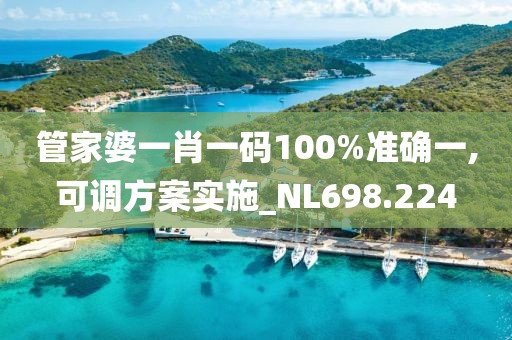 管家婆一肖一碼100%準(zhǔn)確一,可調(diào)方案實(shí)施_NL698.224