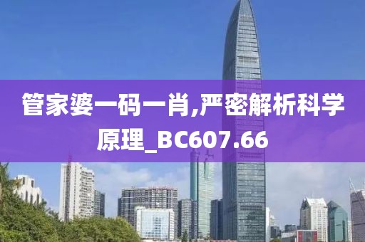 管家婆一碼一肖,嚴密解析科學(xué)原理_BC607.66