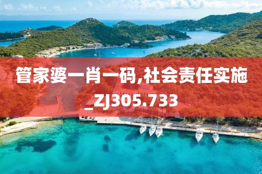 管家婆一肖一碼,社會責(zé)任實施_ZJ305.733