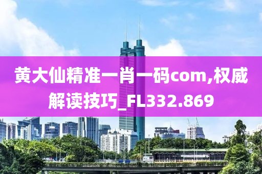 黃大仙精準一肖一碼com,權威解讀技巧_FL332.869