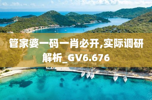 管家婆一碼一肖必開,實際調(diào)研解析_GV6.676