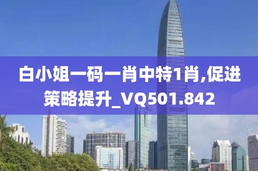 白小姐一碼一肖中特1肖,促進策略提升_VQ501.842
