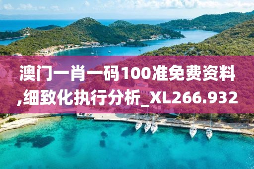 澳門一肖一碼100準免費資料,細致化執(zhí)行分析_XL266.932