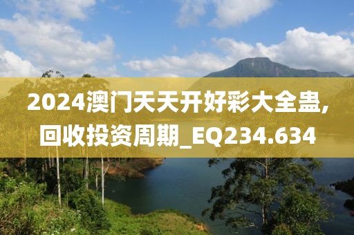 2024澳門天天開好彩大全蠱,回收投資周期_EQ234.634