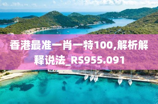 香港最準(zhǔn)一肖一特100,解析解釋說法_RS955.091