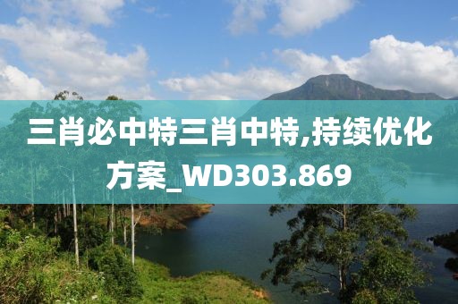 三肖必中特三肖中特,持續(xù)優(yōu)化方案_WD303.869