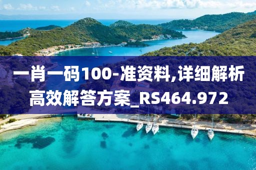 一肖一碼100-準(zhǔn)資料,詳細(xì)解析高效解答方案_RS464.972