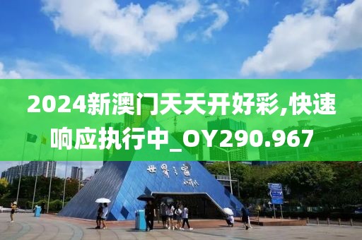 2024新澳門天天開好彩,快速響應(yīng)執(zhí)行中_OY290.967