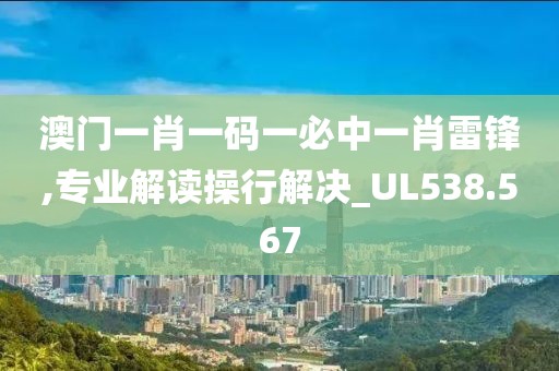 澳門一肖一碼一必中一肖雷鋒,專業(yè)解讀操行解決_UL538.567