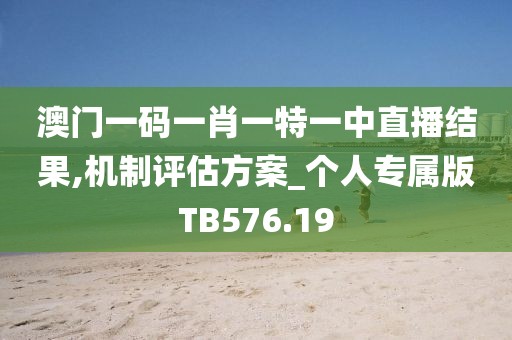 澳門一碼一肖一特一中直播結果,機制評估方案_個人專屬版TB576.19