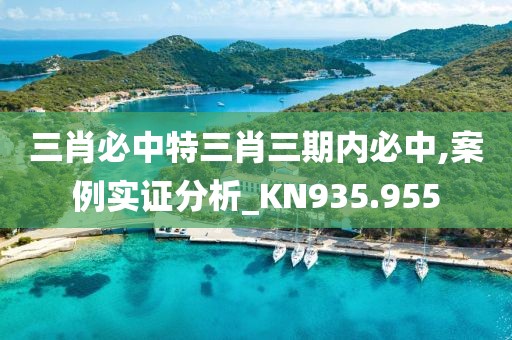 三肖必中特三肖三期內必中,案例實證分析_KN935.955