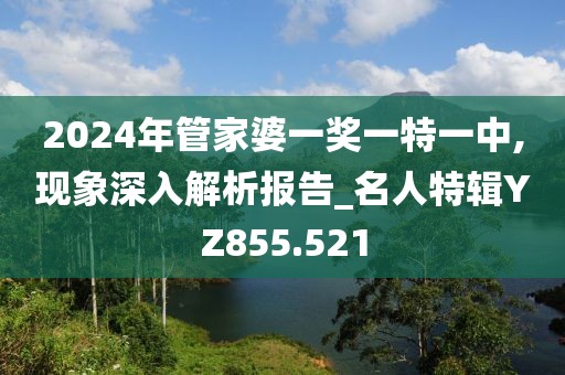 2024年管家婆一獎一特一中,現(xiàn)象深入解析報(bào)告_名人特輯YZ855.521
