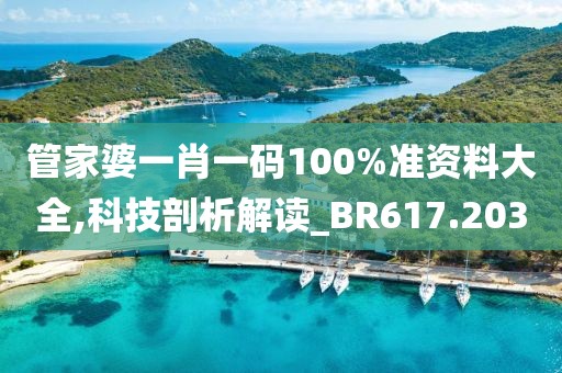 管家婆一肖一碼100%準(zhǔn)資料大全,科技剖析解讀_BR617.203