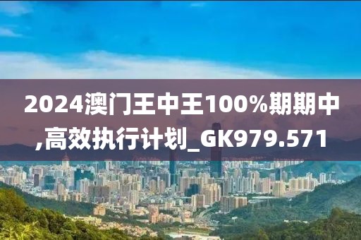 2024澳門王中王100%期期中,高效執(zhí)行計(jì)劃_GK979.571