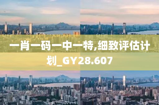一肖一碼一中一特,細(xì)致評(píng)估計(jì)劃_GY28.607