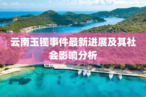 云南玉鐲事件最新進展及其社會影響分析