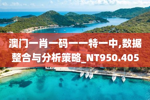 澳門一肖一碼一一特一中,數(shù)據(jù)整合與分析策略_NT950.405