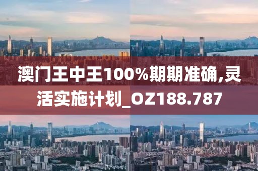 澳門王中王100%期期準確,靈活實施計劃_OZ188.787