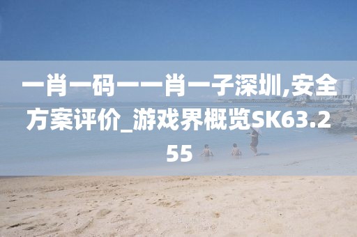 一肖一碼一一肖一子深圳,安全方案評價(jià)_游戲界概覽SK63.255