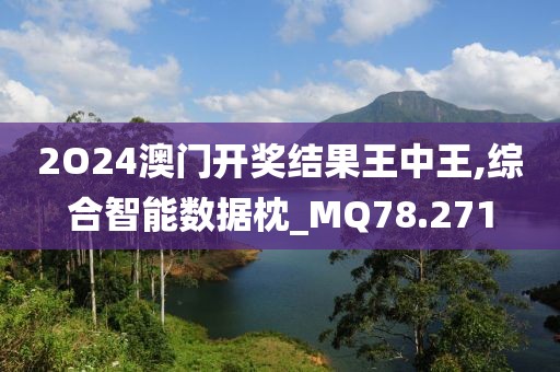 2O24澳門(mén)開(kāi)獎(jiǎng)結(jié)果王中王,綜合智能數(shù)據(jù)枕_MQ78.271