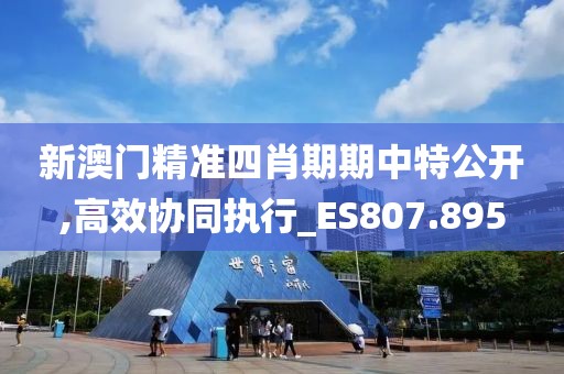 新澳門精準四肖期期中特公開,高效協(xié)同執(zhí)行_ES807.895