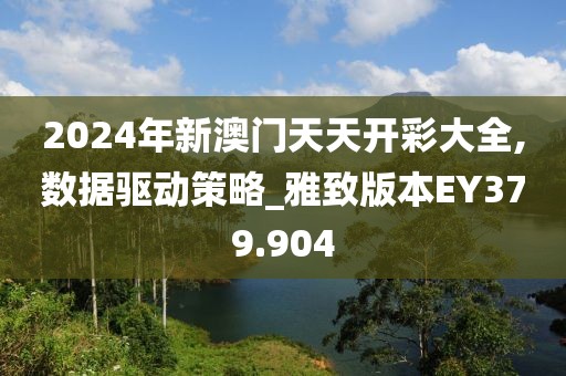 2024年新澳門天天開彩大全,數(shù)據(jù)驅(qū)動策略_雅致版本EY379.904