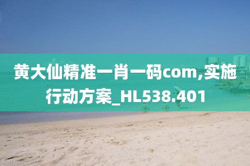 黃大仙精準一肖一碼com,實施行動方案_HL538.401