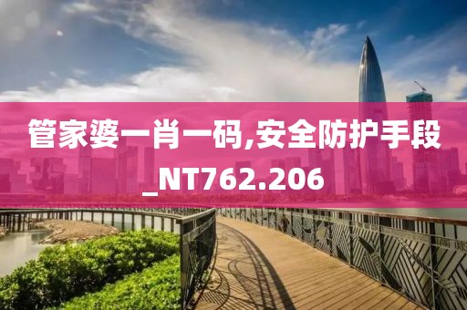 管家婆一肖一碼,安全防護(hù)手段_NT762.206