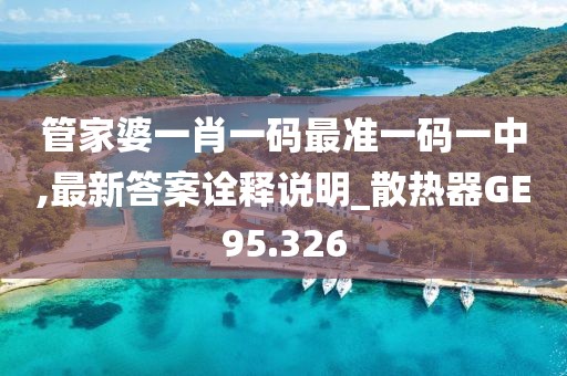 管家婆一肖一碼最準(zhǔn)一碼一中,最新答案詮釋說(shuō)明_散熱器GE95.326