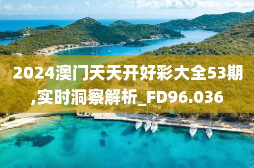 2024澳門天天開好彩大全53期,實(shí)時(shí)洞察解析_FD96.036