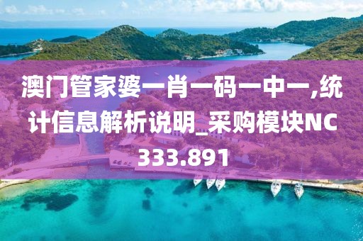 澳門管家婆一肖一碼一中一,統(tǒng)計信息解析說明_采購模塊NC333.891