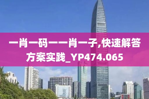 一肖一碼一一肖一子,快速解答方案實(shí)踐_YP474.065