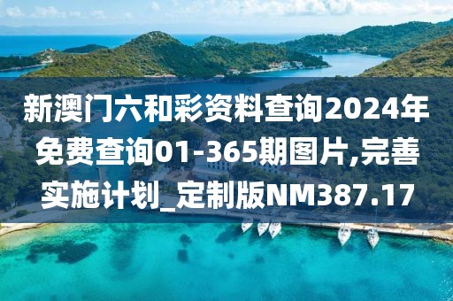 新澳門六和彩資料查詢2024年免費查詢01-365期圖片,完善實施計劃_定制版NM387.17