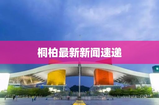 桐柏最新新聞速遞