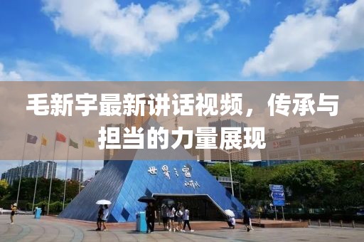 毛新宇最新講話視頻，傳承與擔(dān)當(dāng)?shù)牧α空宫F(xiàn)