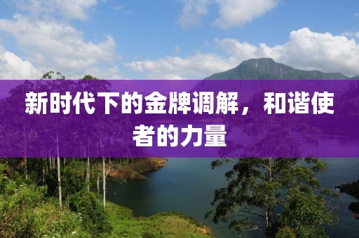 新時代下的金牌調(diào)解，和諧使者的力量