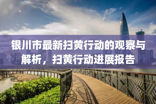 銀川市最新掃黃行動(dòng)的觀察與解析，掃黃行動(dòng)進(jìn)展報(bào)告