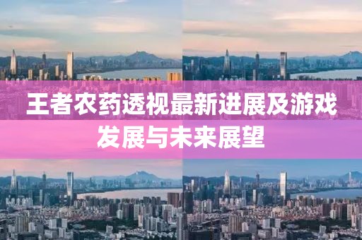 王者農(nóng)藥透視最新進(jìn)展及游戲發(fā)展與未來(lái)展望