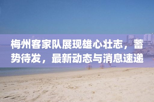 最新電影下載FTP，探索電影世界的快速便捷途徑
