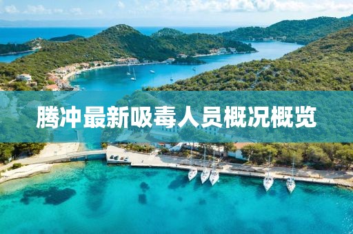 騰沖最新吸毒人員概況概覽