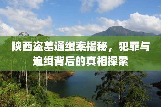 陜西盜墓通緝案揭秘，犯罪與追緝背后的真相探索